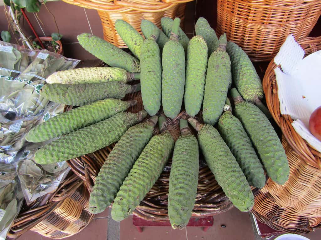 Funchal Food Tour