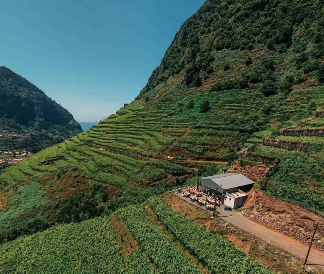 Funchal Food Tour 